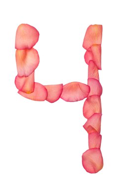 pembe Gül yaprağı dört sayı yaptı