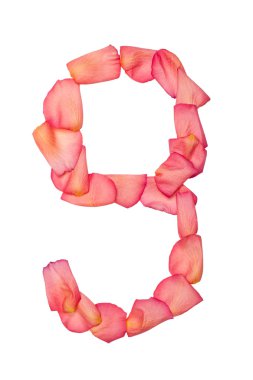 Dokuz numara pembe Gül yaprağı yapılan