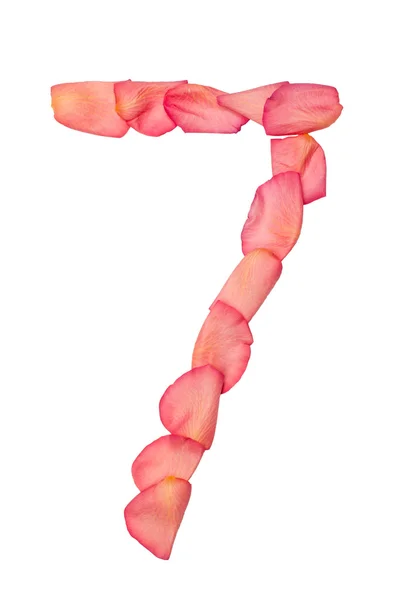 Seven number made of pink rose petal — Stock Photo, Image