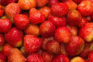 Taze kırmızı çilek arkaplanı