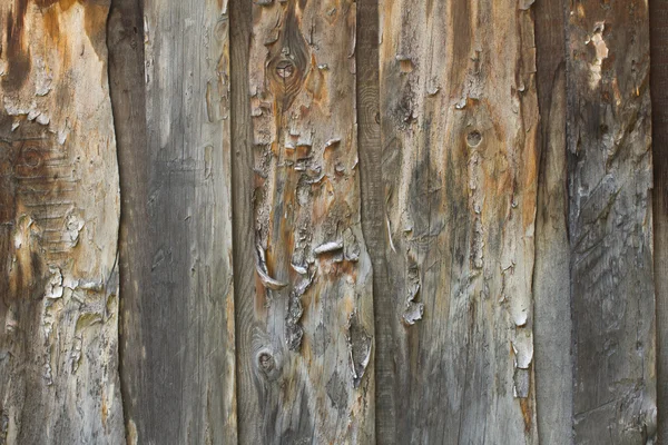 Raue Holzstruktur Hintergrund — Stockfoto