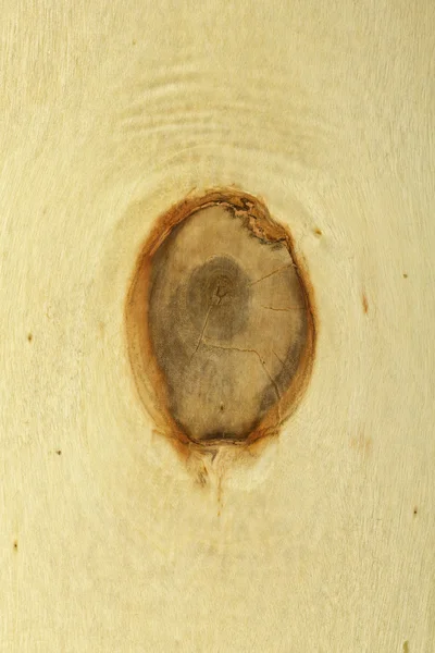 Skär trä textur — Stockfoto