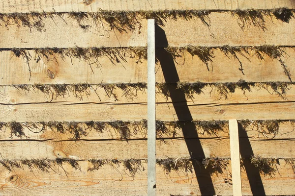Ländliche Holzwand überwintert trockenes Moos — Stockfoto