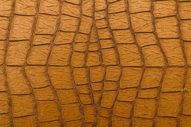 Retro timsah deri doku kahverengi