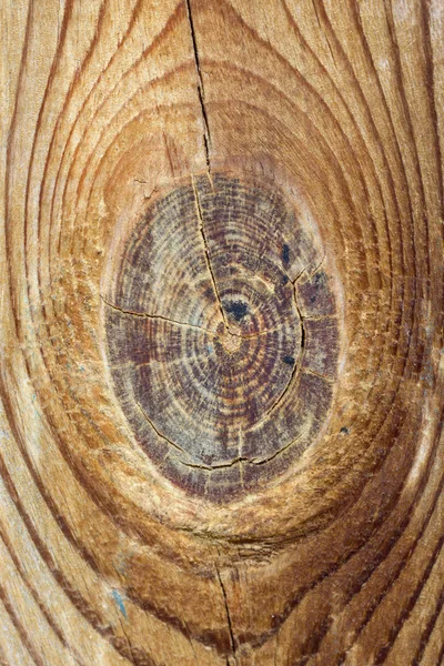 Struttura del legno tagliata — Foto Stock