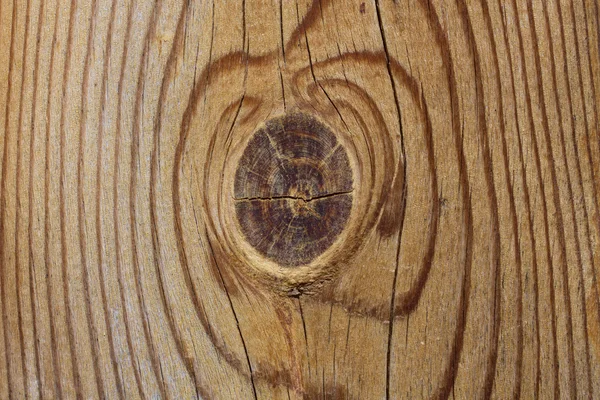 Textura de madeira cortada — Fotografia de Stock
