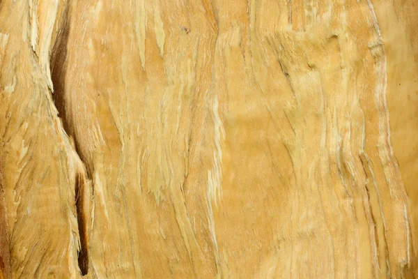 Rompere struttura in legno di pino — Foto Stock