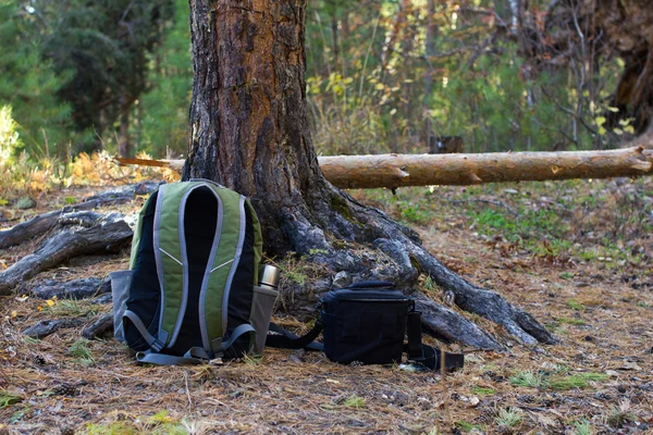 Mochila y bolsa en el suelo en el bosque — Foto de Stock