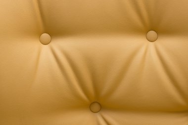 Kalite bej deri doku