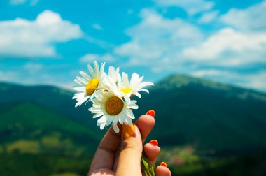 Adam elinde bir papatya tutuyor dağların arka planına karşı
