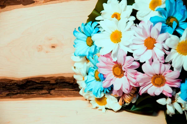 Frühlingsstrauß aus bunten Chrysanthemen auf einem hölzernen Hintergrund — Stockfoto