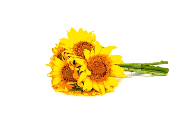 Strauß Sonnenblumenblüten in Rückenlage, isoliert auf weißem Hintergrund — Stockfoto