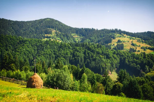 Zielone łąki w Karpatach ze stogiem siana na pierwszym planie — Zdjęcie stockowe