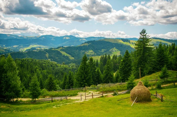Zielone łąki w Karpatach ze stogiem siana na pierwszym planie — Zdjęcie stockowe