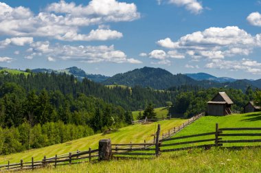 birleşik yaz manzarası, dağların yamaçtaki çitler boyunca çitler.