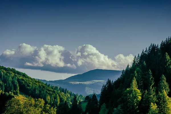 Vista encantadora das montanhas da floresta, na distância as montanhas azuis dos Cárpatos com céus azuis — Fotografia de Stock