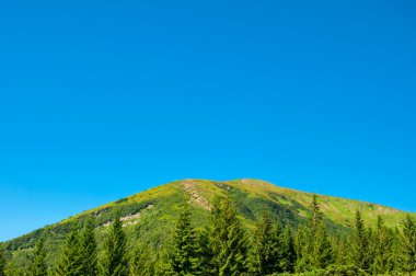 Güzel yaz manzarası, dağın tepesi mavi bulutsuz gökyüzüne karşı.