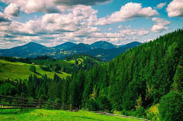 Piękny letni krajobraz, las na zboczach Karpat pod zachmurzonym niebem — Zdjęcie stockowe