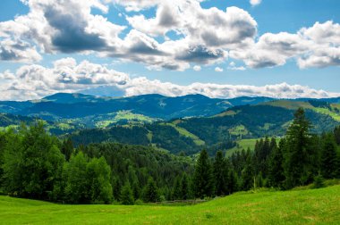 Dağların arka planında büyüyen ağaç ağaçları ve mavi bulutlu gökyüzü, manzara, seyahat
