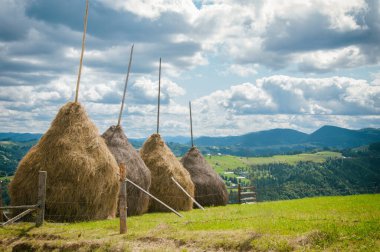 Dağların yamaçlarında bir kır yolu boyunca samanlıklar, Karpatların yerel lezzeti.