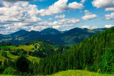 Dağların arka planında büyüyen ağaç ağaçları ve mavi bulutlu gökyüzü, manzara, seyahat
