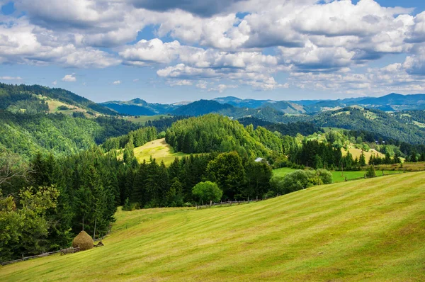 Pastwiska młodej zielonej trawy na zboczach gór na tle pięknego błękitnego nieba — Zdjęcie stockowe