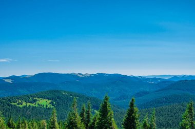 Dağların ve mavi gökyüzünün zemininde yeşil koni şeklinde ağaçlar.