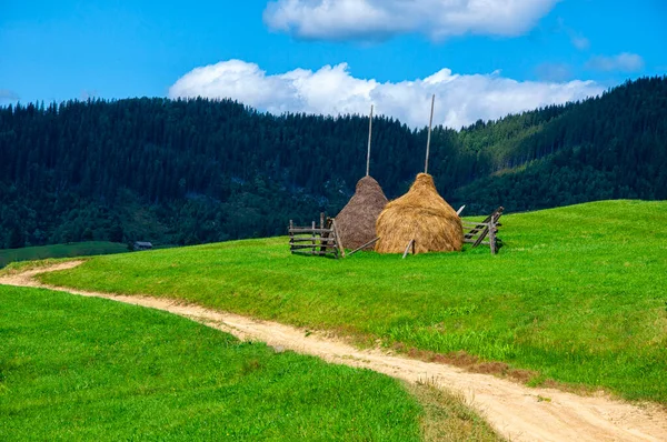 Dağların yamaçlarında çitlerle çevrili saman yığınları çimlerin ve mavi gökyüzünün arka planına karşı. — Stok fotoğraf