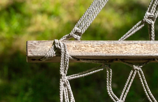 hamak bahar pikniği