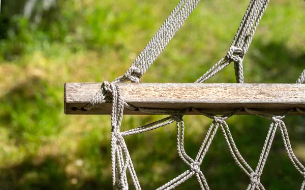 hamak bahar pikniği