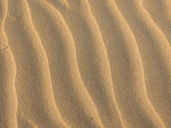 kum dalgaları arka plan