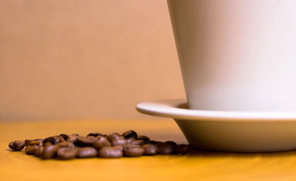 Türk kahve fincanı ve tohum