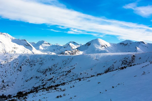 Karla kaplı dağ zirveleri