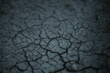 Çimensiz kuru bir toprak parçası, güneş ışınlarından gelen çatlaklarla kaplı.