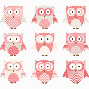 Mercan ve gri şirin baykuş koleksiyonları.