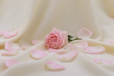 Pembe gül çözücü krem ipeği arka planında.