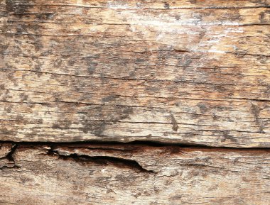 Doğanın ahşap dokusu. Soyut ahşap duvar arkaplanı. Tasarım için klasik kahverengi yüzey.