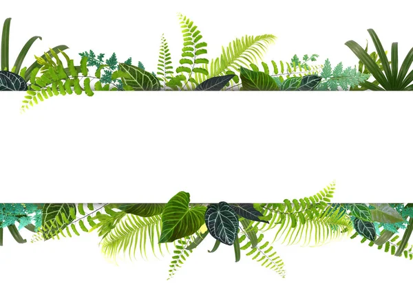 Banner with green tropical leaves on white background. Green leaves frame template. Exotic botanical design.  Spring or summer tropical leaves for invitation, spa, travel, wedding or greeting cards.