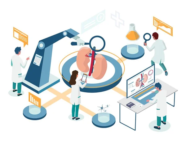 Diagrama de flujo isométrico de investigación de laboratorio renal, ilustración vectorial. Hombre, personajes femeninos trabajando en el laboratorio de nefrología. — Vector de stock