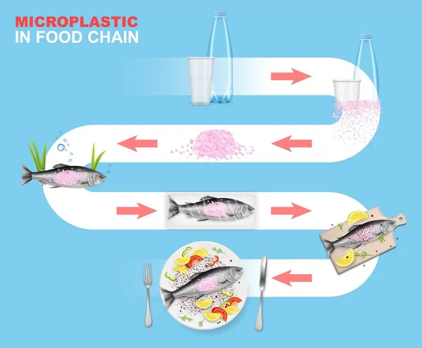 Mikroplast ve vektorové infografii potravinového řetězce. Mořské prostředí. Dopad plastového odpadu na vodní živočichy a mořské plody. — Stockový vektor