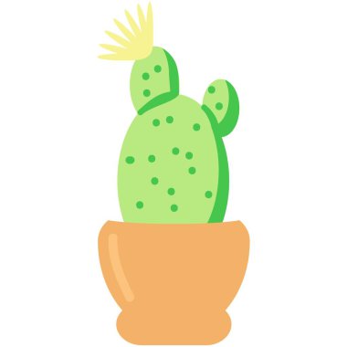 Kaktüs çiçeği vektör çizimi. Çizgi film bitkisi. İkon içinde kaktüs tenceresi. Dikenli ve çiçek saksısında tomurcuklanan sulu, beyaz arka planda izole edilmiş.