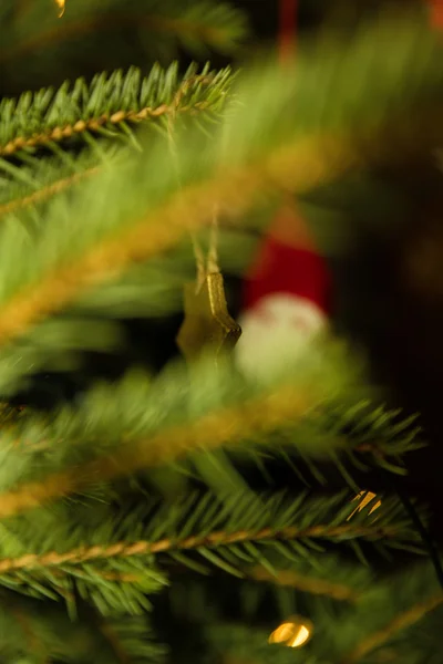 Décoration de Noël houx — Photo