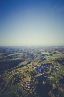 kiraz çiçeği balon