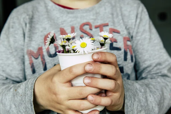 delikanlı özür daisy ile
