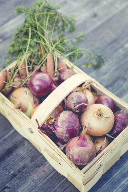 kentsel Bahçe sebze hasat kırpma