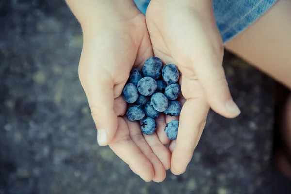 Anak dengan bio blueberry segar — Stok Foto