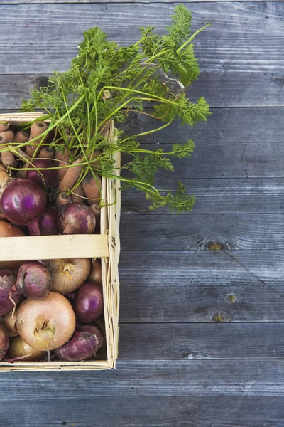 Huerta urbana cosecha de hortalizas — Foto de Stock