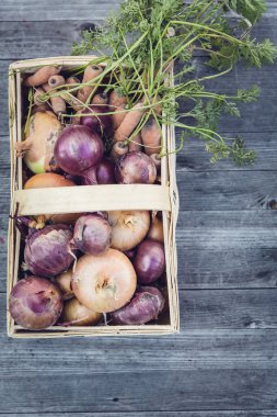 kentsel Bahçe sebze hasat kırpma