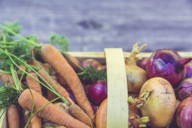 kentsel Bahçe sebze hasat kırpma