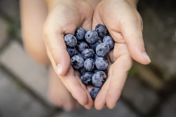 Anak dengan bio blueberry segar — Stok Foto